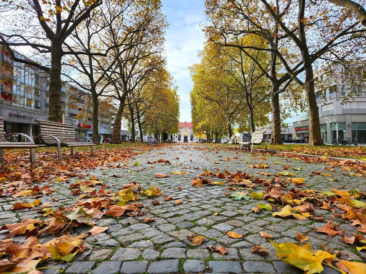 Autumn scene in Dresden